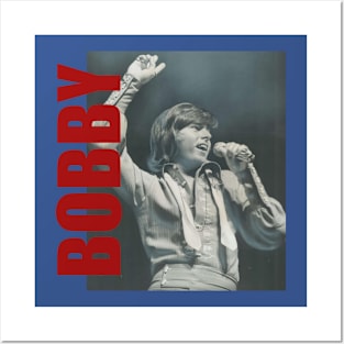 Bobby Sherman - Retro Aesthetic Fan Art Posters and Art